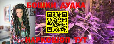 гидропоника Будённовск