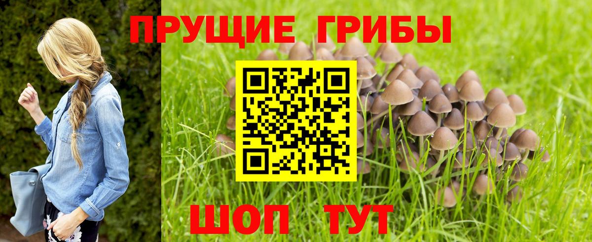 Галлюциногенные грибы ЛСД  Вход с VPN  Липецк 